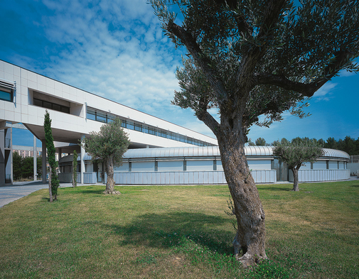 Dental Hospital Dental Hospital