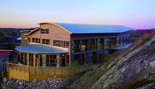 Transatlantic Shipping Company Transatlantic Shipping Company